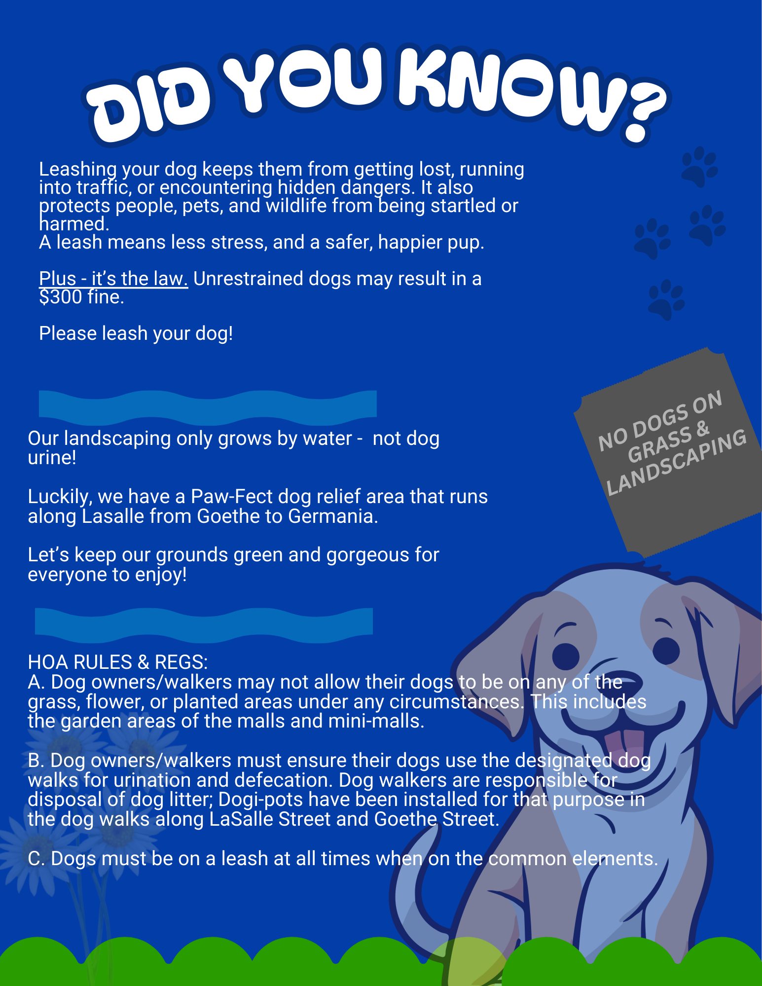Dog Rules